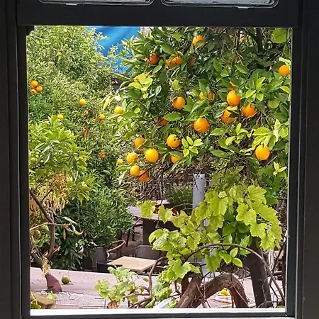 Homestay Gizli Bahce *